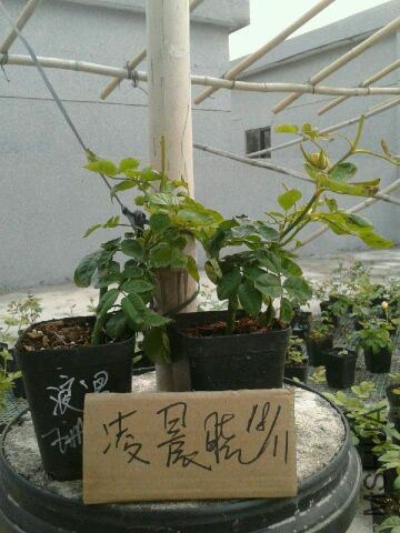 QQͼƬ20141118193841.jpg