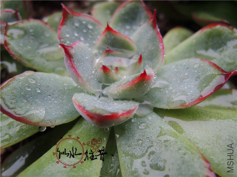 DSCN3862.jpg