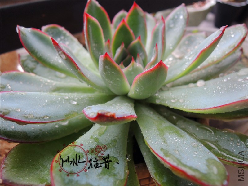 DSCN3878.jpg