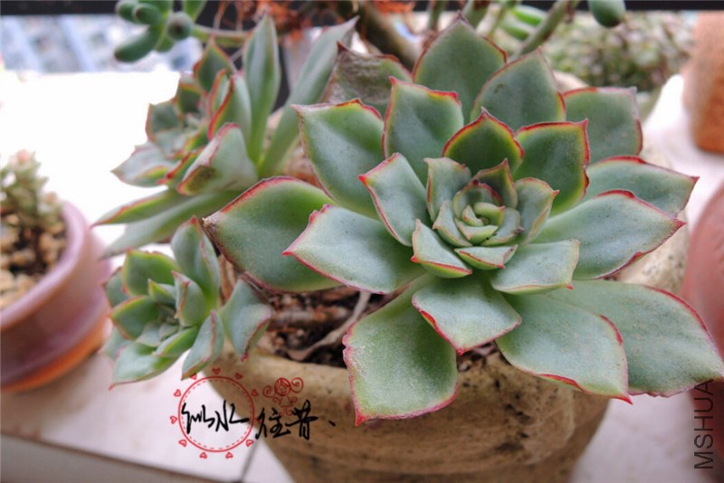 QQ��ͼ20141105124948_����.jpg