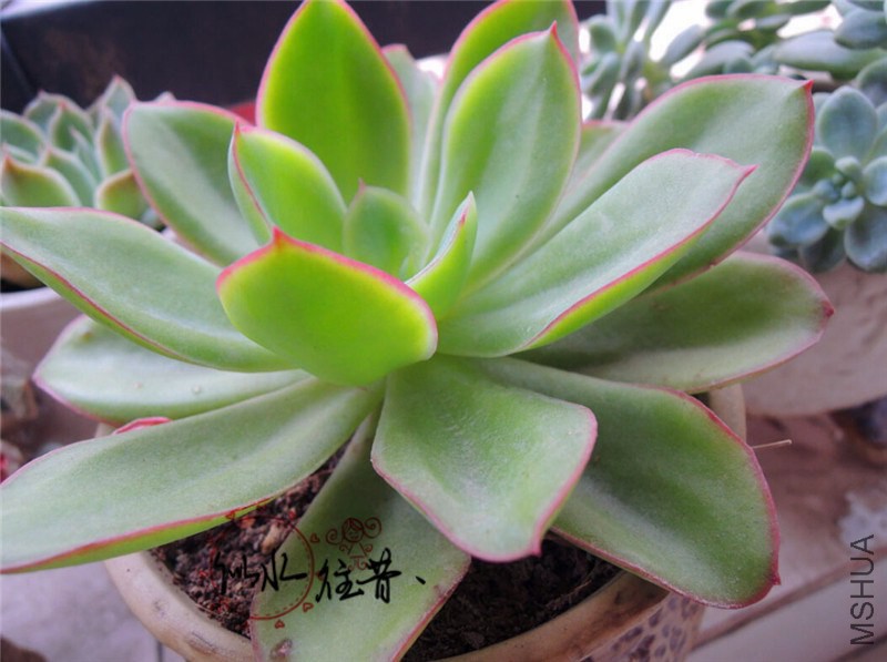 QQ��ͼ20141105125544_����.jpg