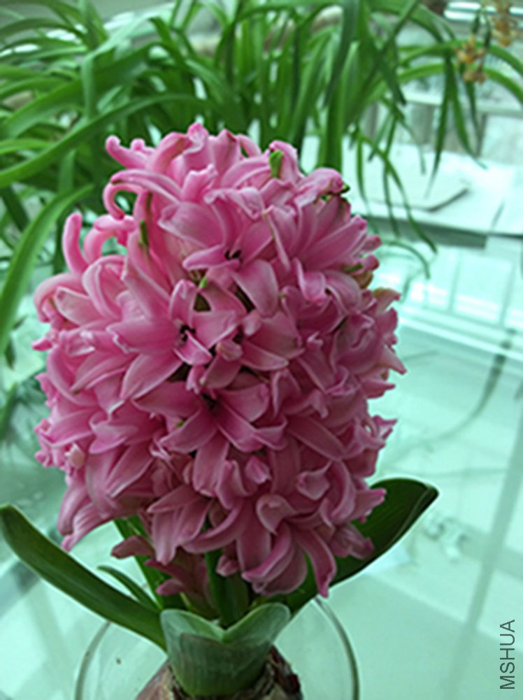 ͼ���Ʒ���е�