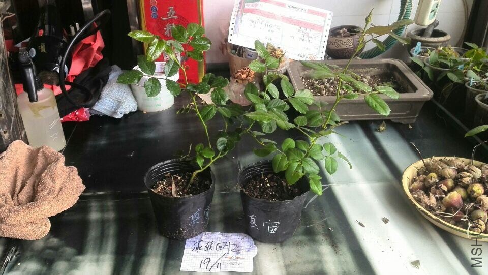 QQͼƬ20141119110557.jpg