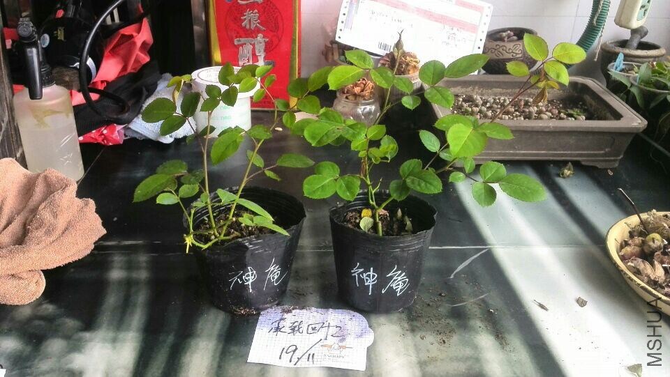 QQͼƬ20141119110610.jpg
