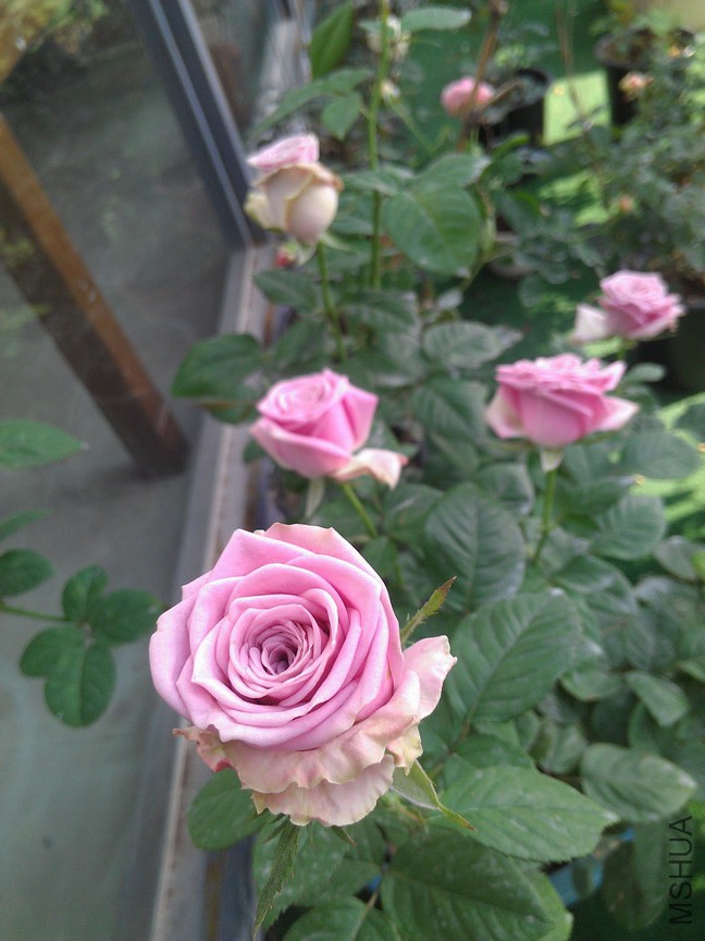 IMAG874220.jpg