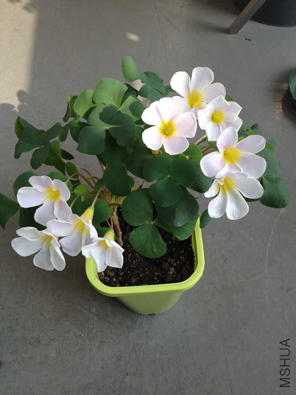 ������ 001_����.jpg