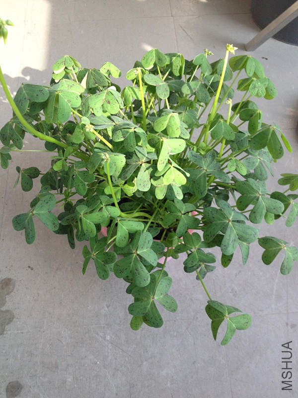 ������ 002_����.jpg