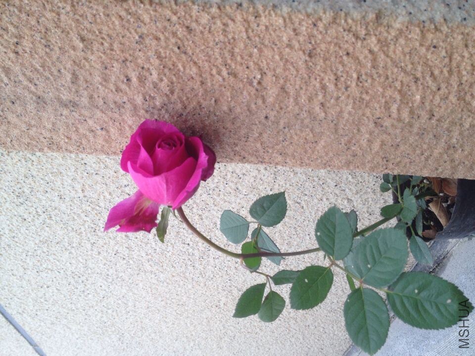 05.jpg