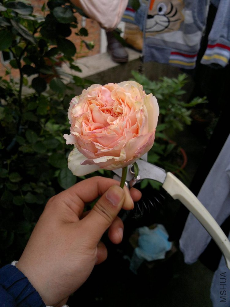 2014-04-08-3548.JPG