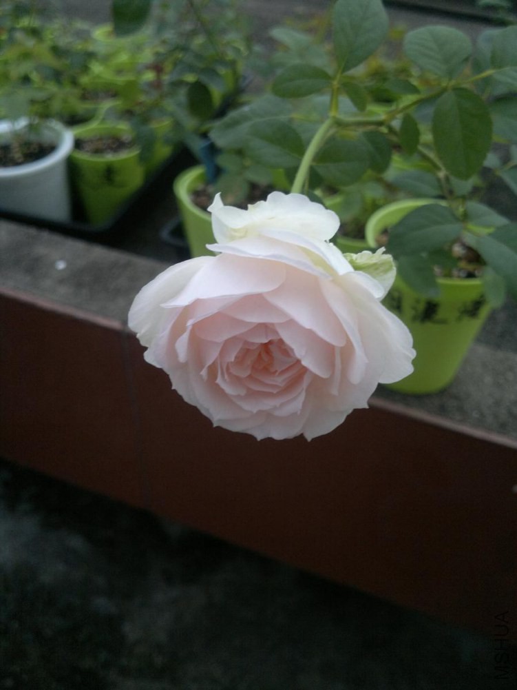 2014-09-20-5079.JPG