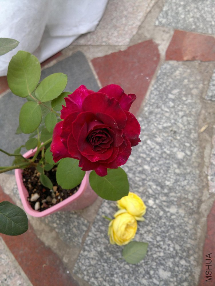 2014-10-27-5418.JPG