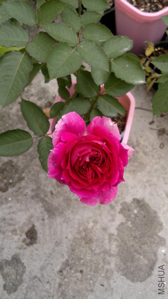 2014-11-19-033.JPG