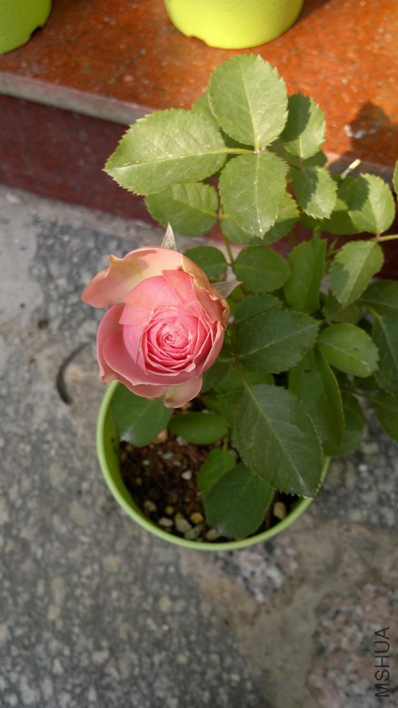 2014-11-19-043.JPG