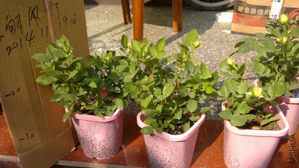 2014-11-19-045.JPG