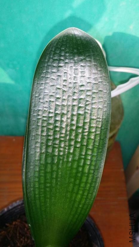 20141119_151115.jpg