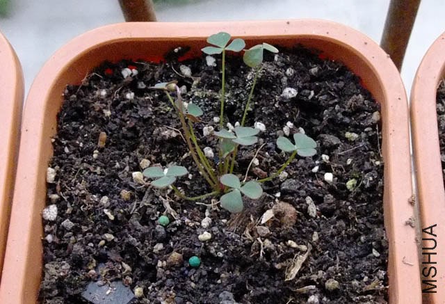 25.MT&amp;#039;s ���� (1).jpg