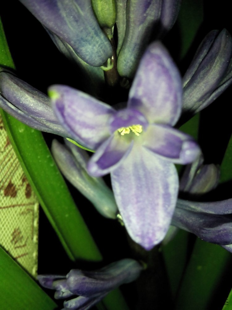 IMG20141120064645.jpg
