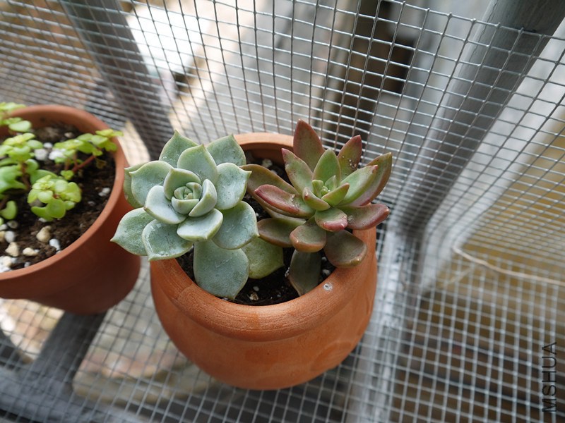 P1020077_����.jpg