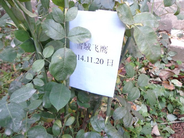 ĵ���¼�.JPG