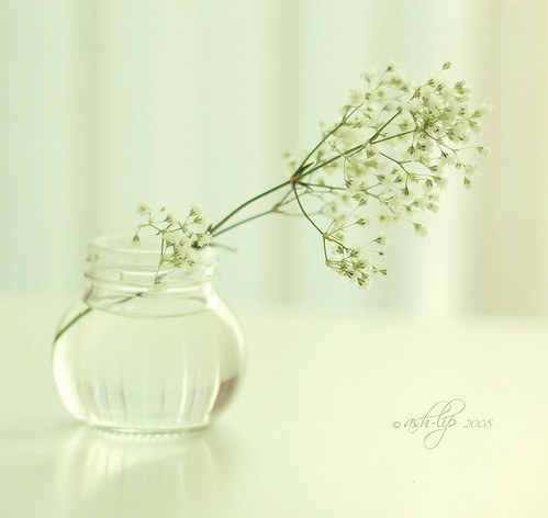 20111023115206_fFKvE.thumb.700_0.jpg