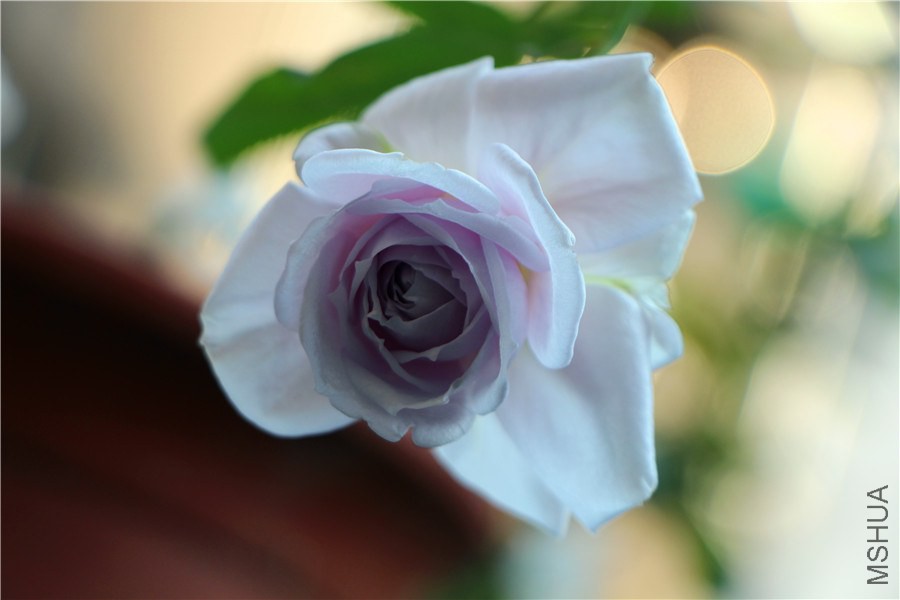 �������