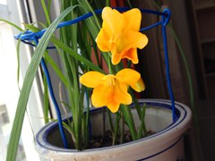 ��ѩ��1 20130402 (1)_����_����.jpg