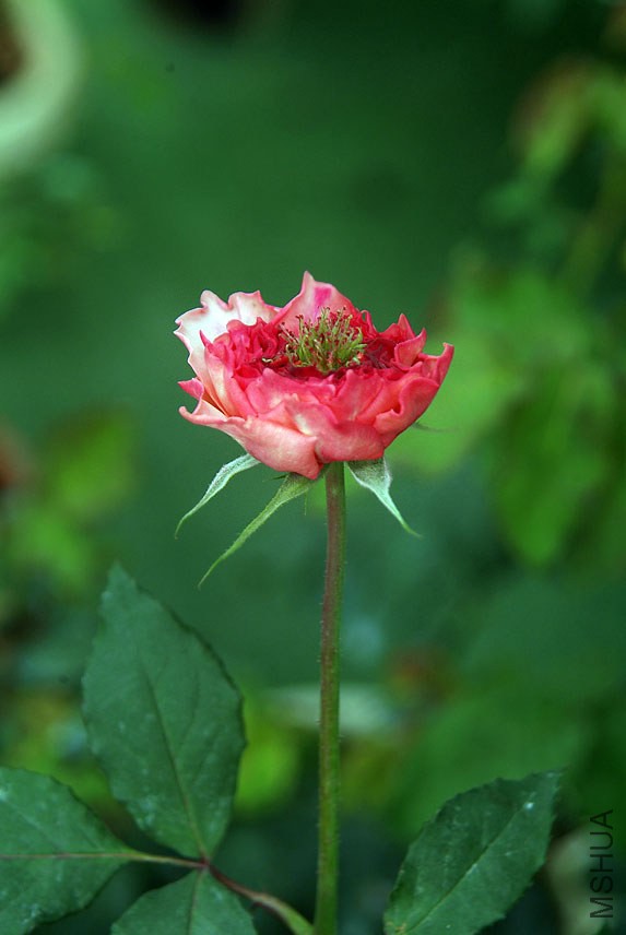 DSCF0841.jpg