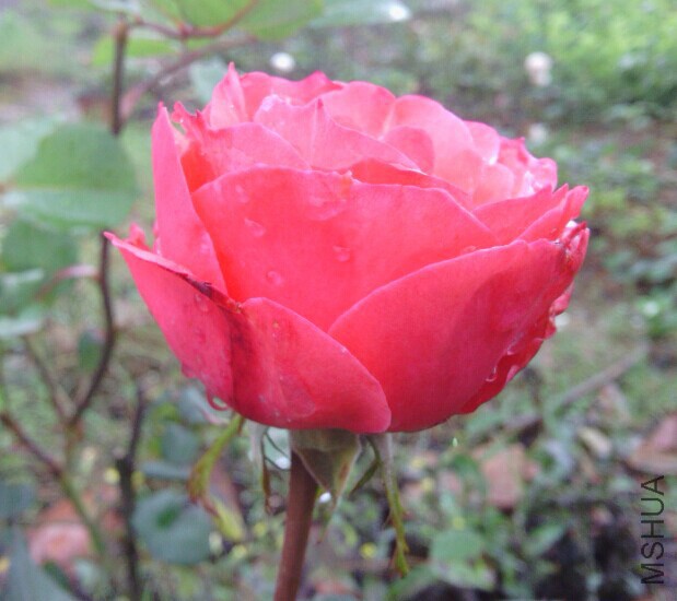 QQͼƬ20141120211915.jpg