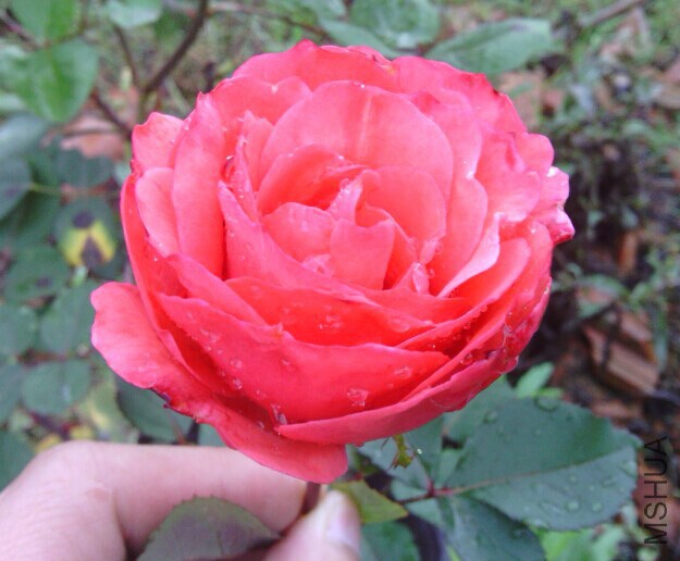 QQͼƬ20141120211840.jpg