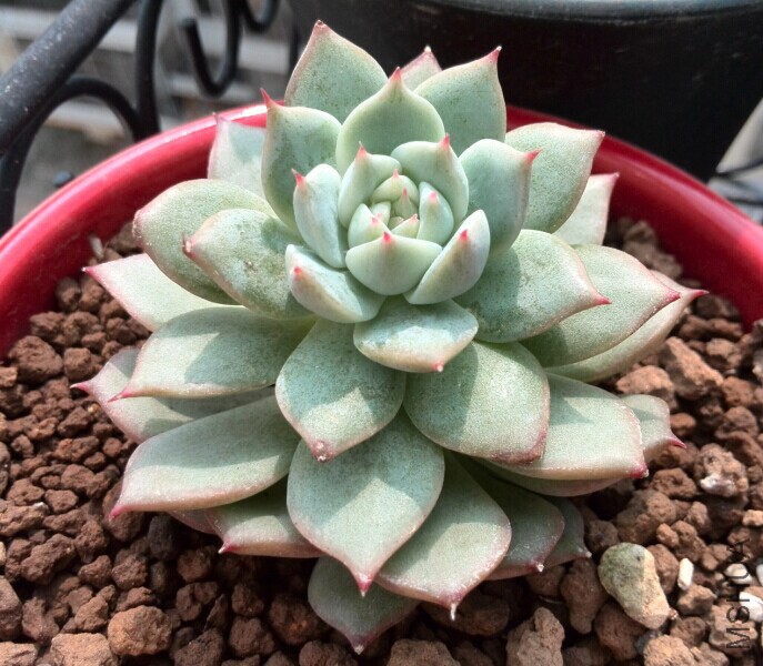 QQͼƬ20141121165537.jpg
