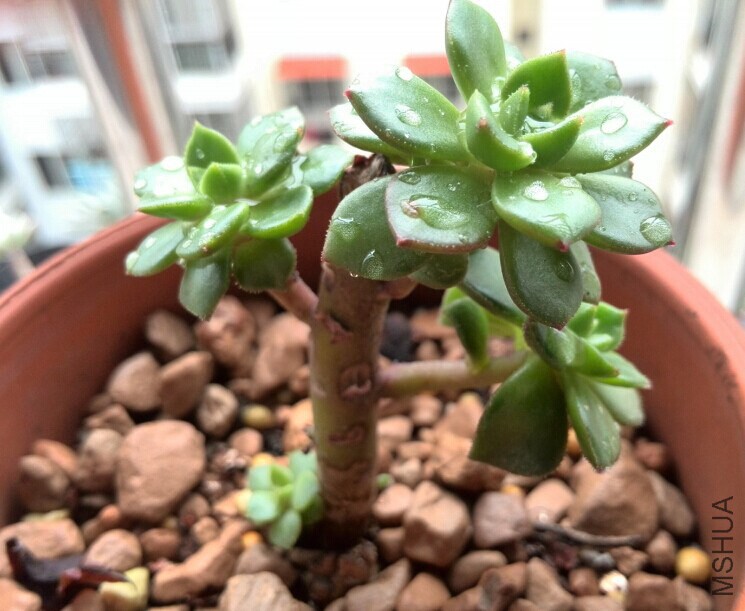 QQͼƬ20141121165609.jpg