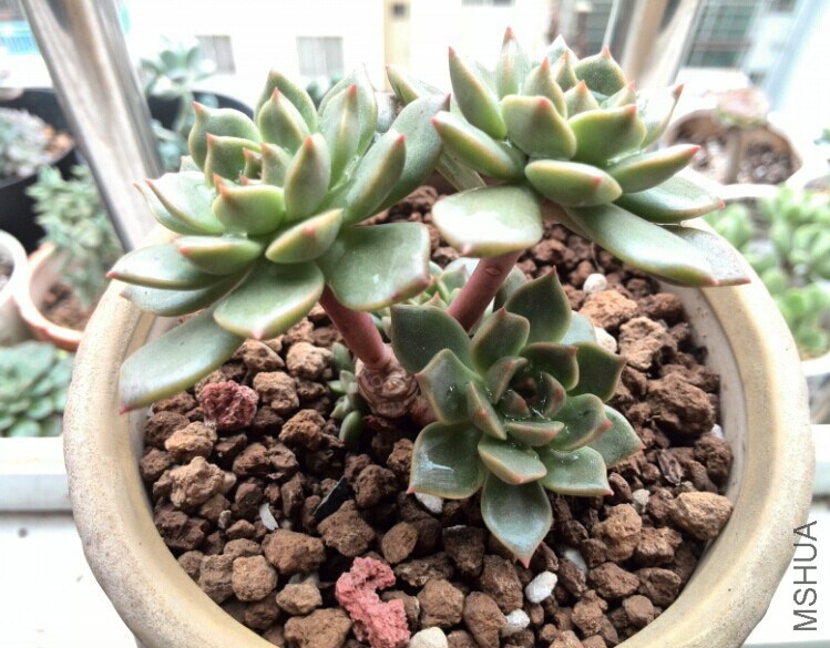 QQͼƬ20141121165630.jpg
