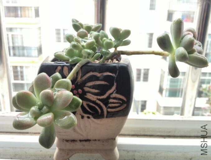 QQͼƬ20141121165649.jpg