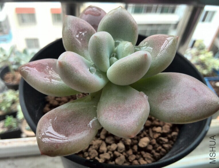 QQͼƬ20141121165734.jpg