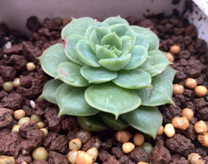 QQͼƬ20141121165953.jpg