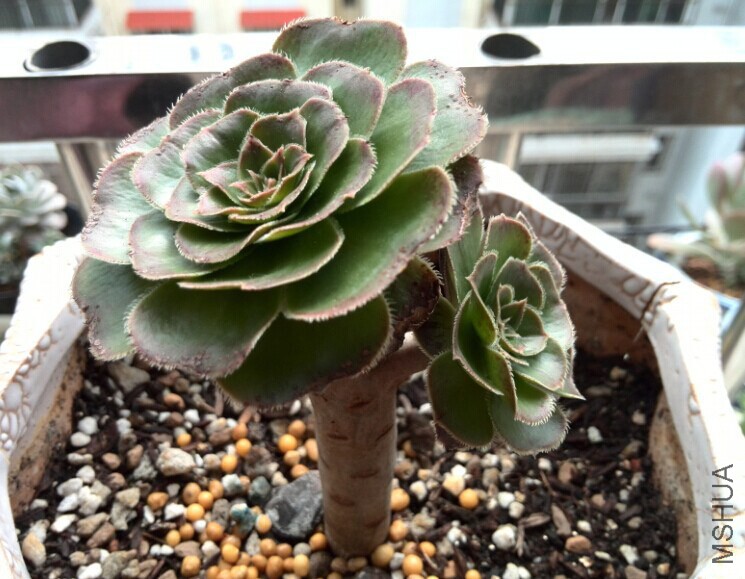 QQͼƬ20141121170038.jpg