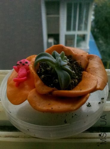 2014-11-21_17-53-32_942.jpg
