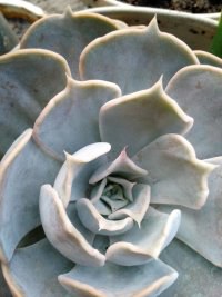 psb (19).jpg
