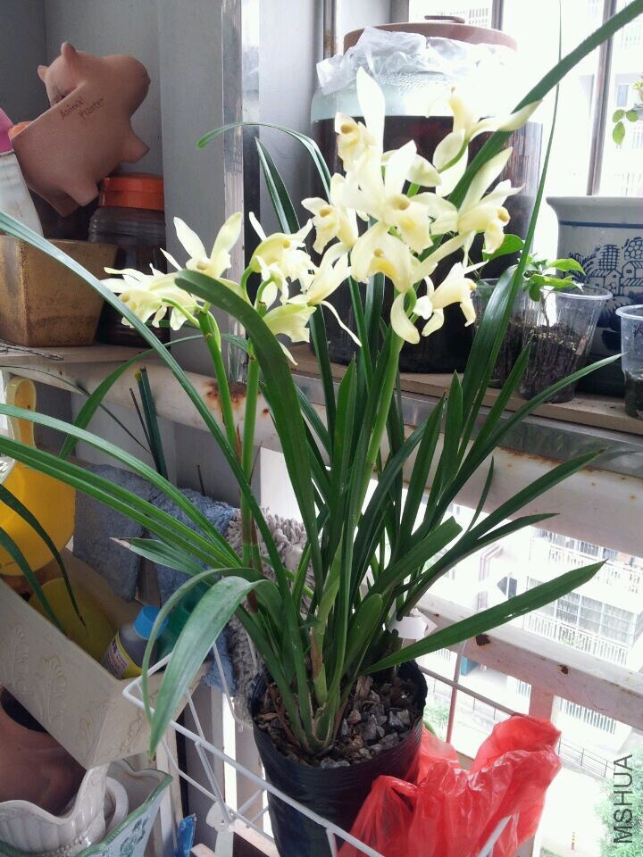 QQͼƬ20141122003058.jpg