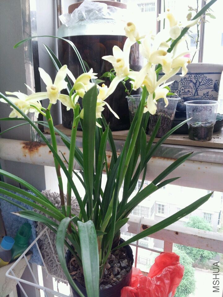 QQͼƬ20141122003117.jpg