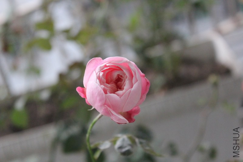 IMG_6421.JPG