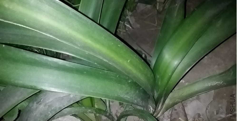 20141121_203344.jpg