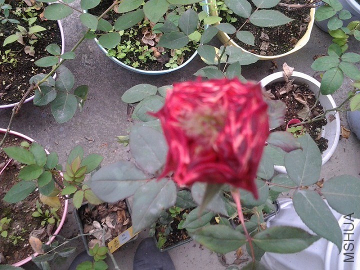 20141121_095513.jpg