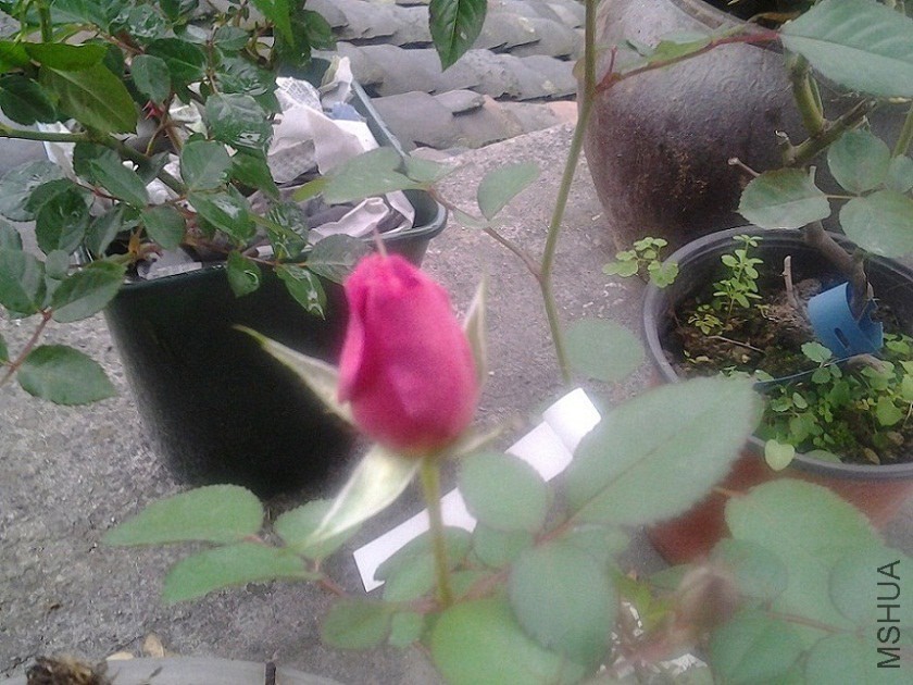 20141115_092355.jpg