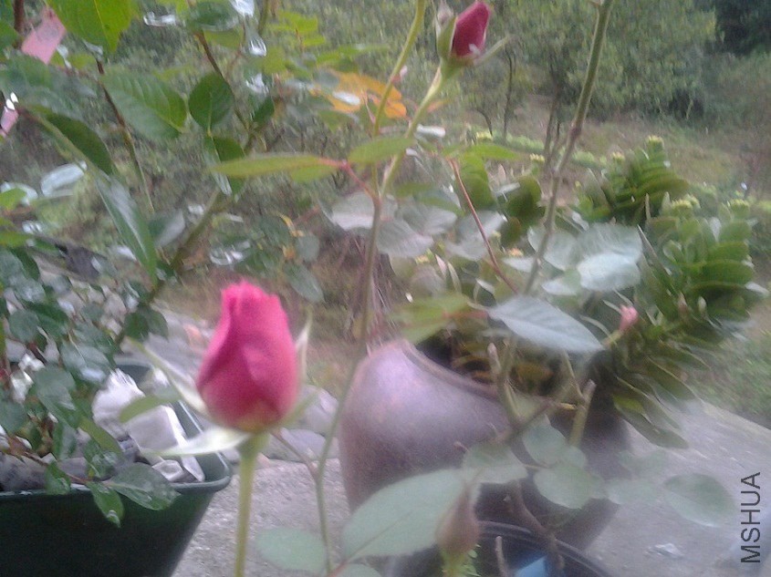 20141115_092401.jpg