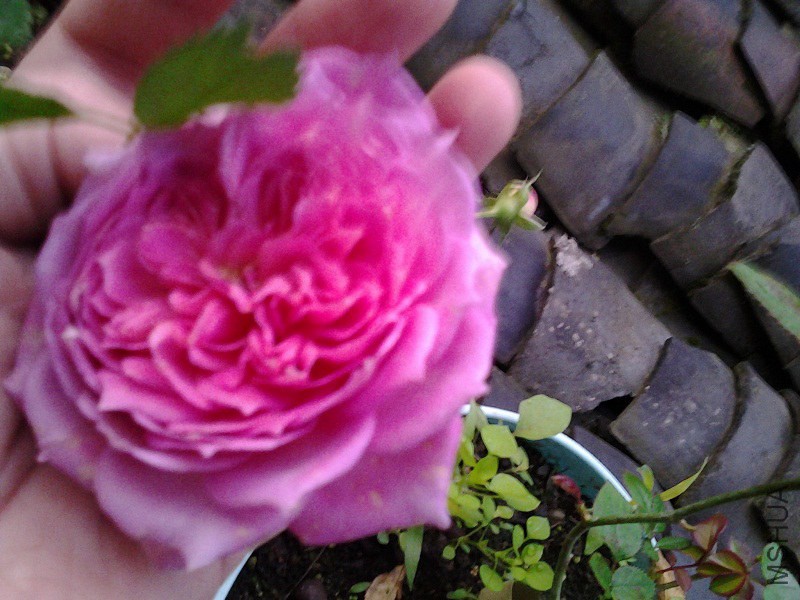 20141119_071450.jpg