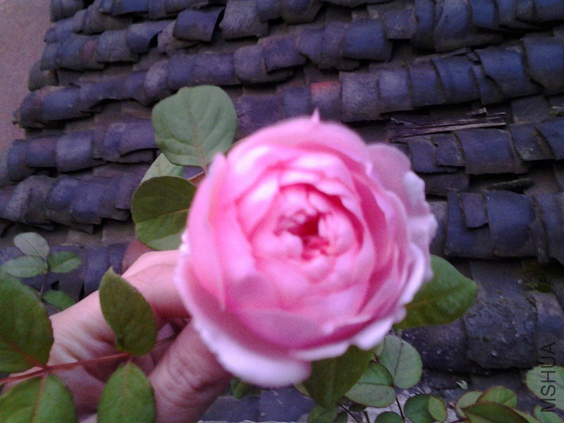20141119_071552.jpg