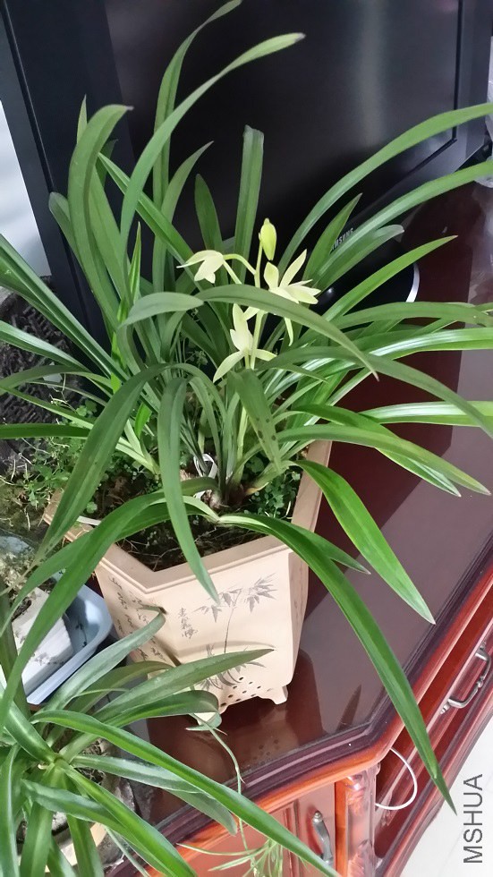 20140830_083258.jpg