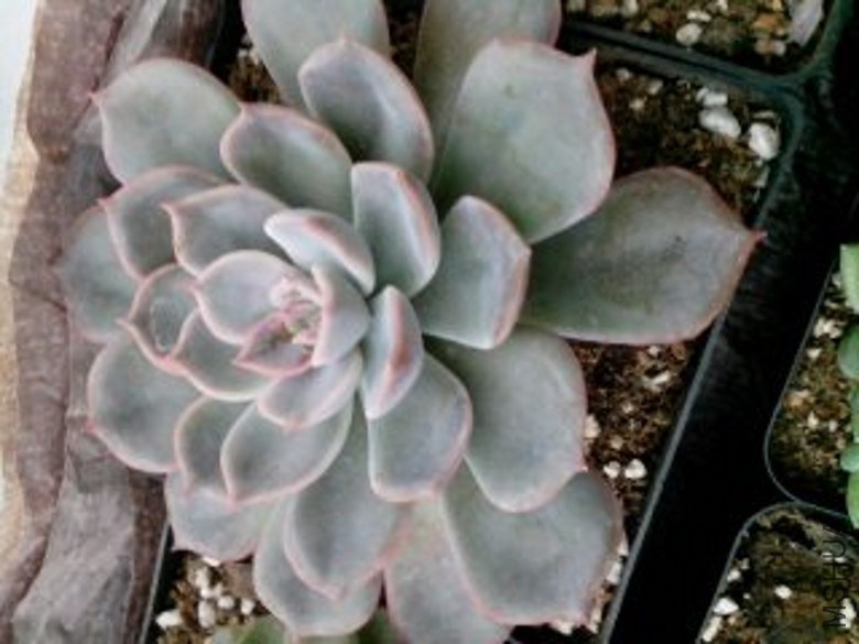 1415500821719_conew1.jpg