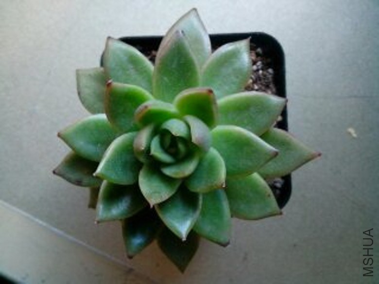1416629540109_conew1.jpg